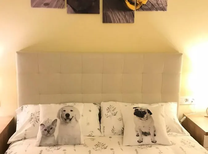 Appartement Duplex *